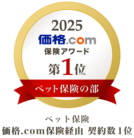 �y�b�g�ی� 1��