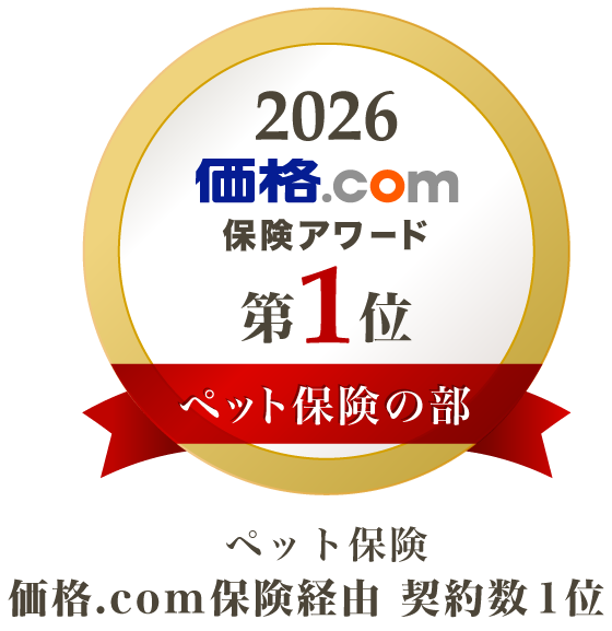 �y�b�g�ی� 1��