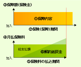 生命保険を選ぶポイント図