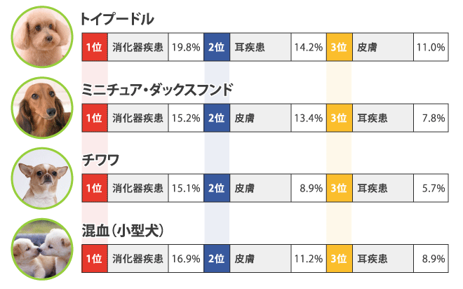 犬種別の傷病罹患率は?