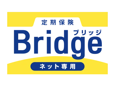 ����ی�Bridge [�u���b�W]