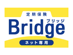 ����ی�Bridge [�u���b�W]