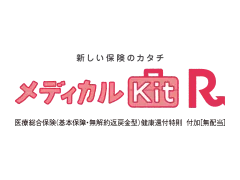 �V�����ی��̃J�^�`�@���f�B�J��Kit R