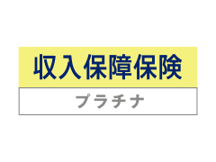 �����ۏ�ی��v���`�i