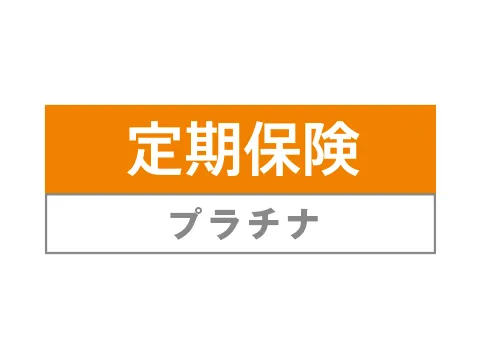 ����ی��v���`�i