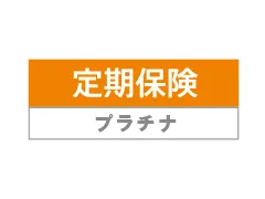 ����ی��v���`�i