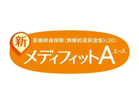 �V���f�B�t�B�b�gA(�G�[�X)