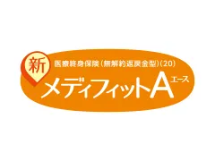 �V���f�B�t�B�b�gA(�G�[�X)