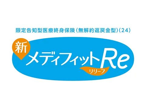 �V���f�B�t�B�b�gRe(�����[�t)