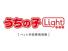 �����̎q���C�g