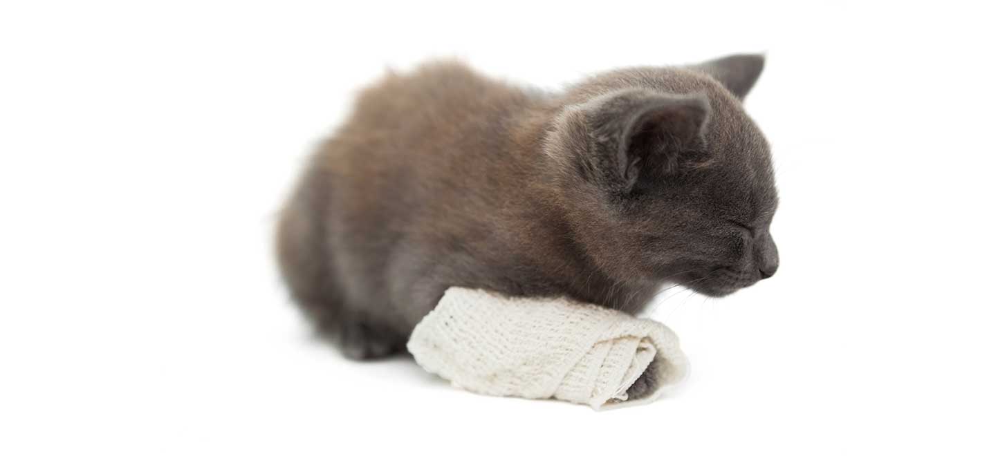 成長板骨折を起こした子供たちの今後の見通しはどうなるのでしょうか?