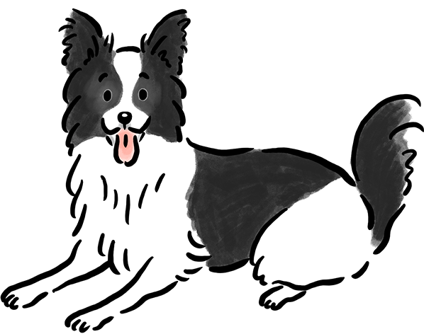 �{�[�_�[�E�R���[