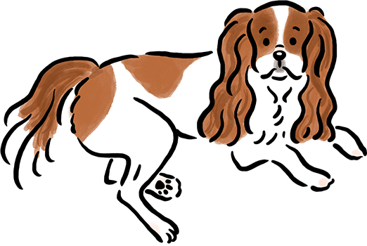 �L���o���A