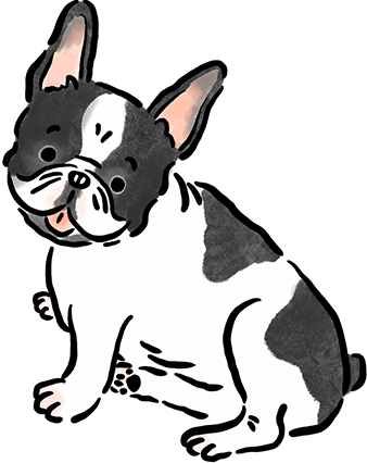 �t�����`�E�u���h�b�O