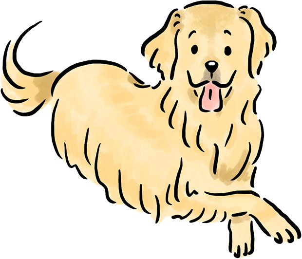 �S�[���f���E���g���o�[