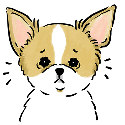 �������i��������܂ށj�̃P�[�X