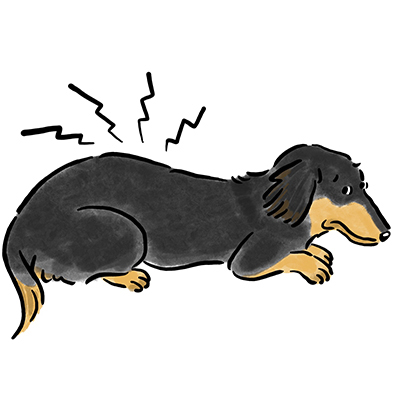 �ŊԔw���j�A�̃P�[�X