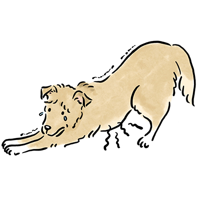 �݉�/�ݒ���/�����̃P�[�X