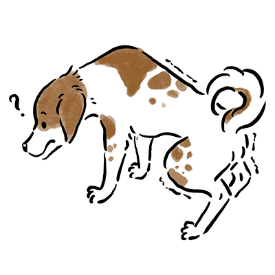 �N�����̃P�[�X