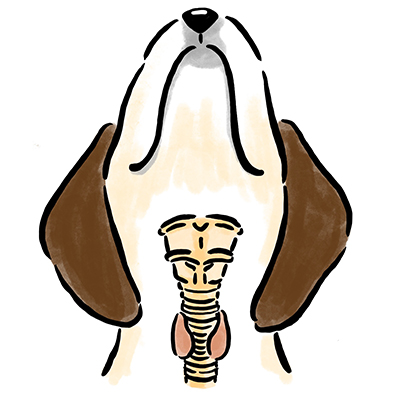 �b��B�@�\�ቺ�̃P�[�X