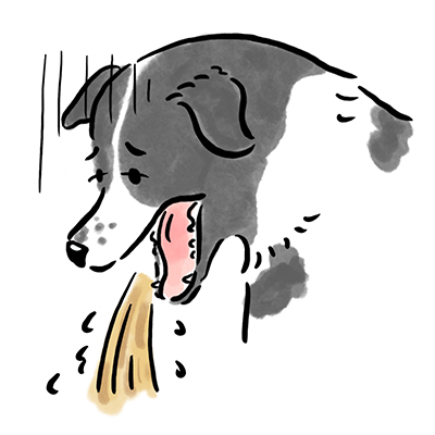 �����Ǔ��ٕ�/����̃P�[�X