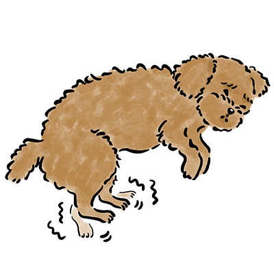 �Ă񂩂�̃P�[�X