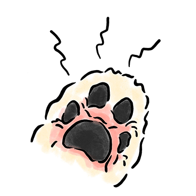 ��Ԕ畆���̃P�[�X