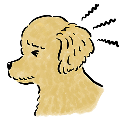 �׋ې��O�����̃P�[�X