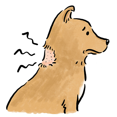 �}���Z�`�A���畆���̃P�[�X