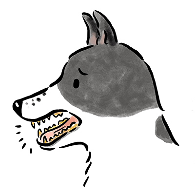 �����a�̃P�[�X