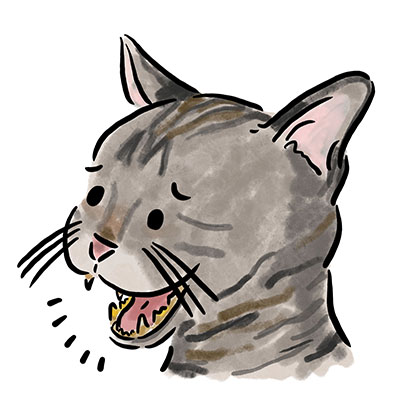 �����a�̃P�[�X