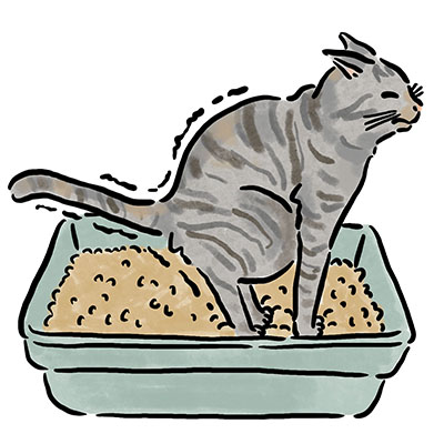 �֔�i���匋���Ǌ܂ށj�̃P�[�X