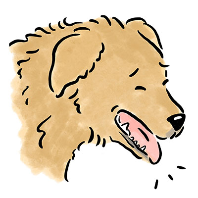 �ٖ��ǂ̃P�[�X