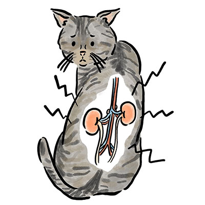 �����t���a�̃P�[�X