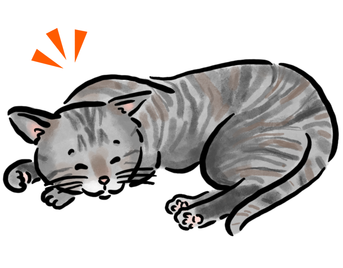 �~�b�N�X�L