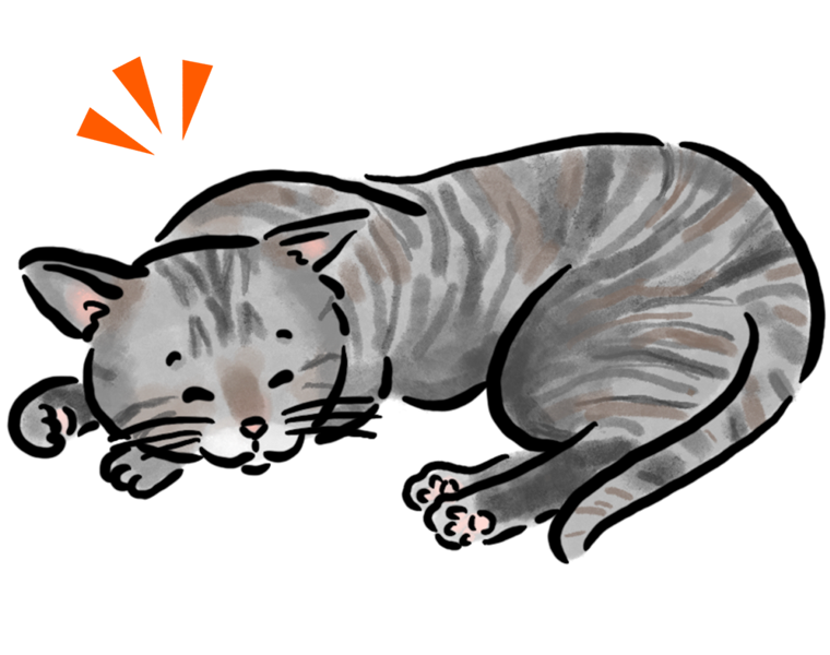 �~�b�N�X�L