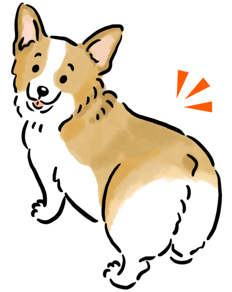 �E�F���V���E�R�[�M�[�E�y���u���[�N