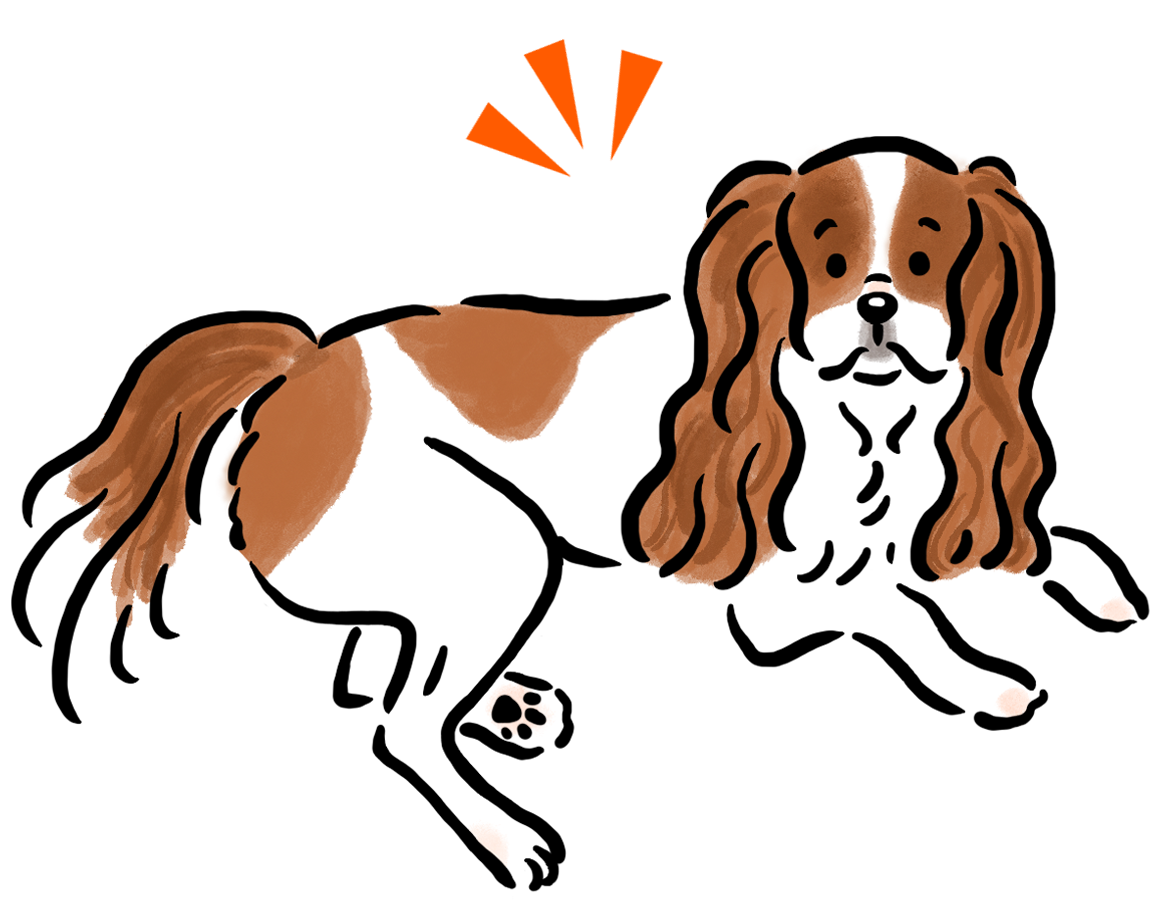 �L���o���A