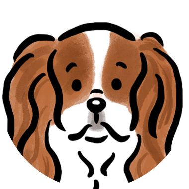 �L���o���A�̃A�C�R��