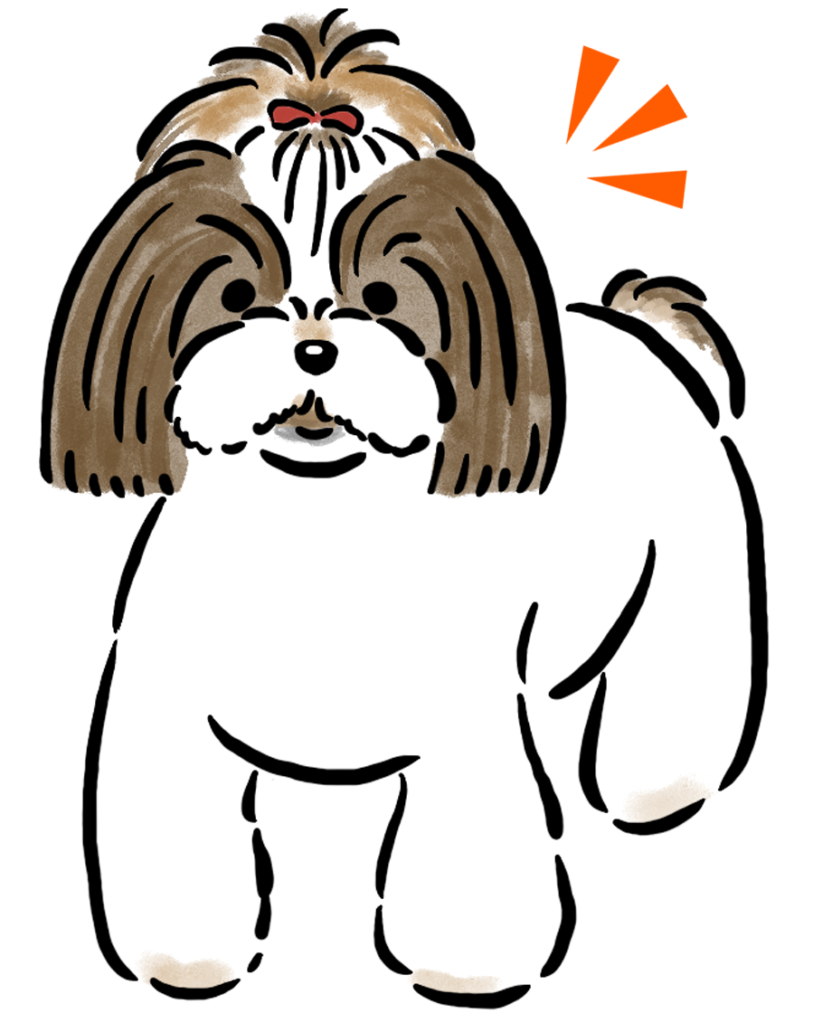 �V�[�E�Y�[