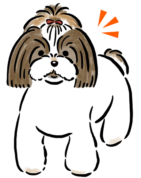 �V�[�E�Y�[