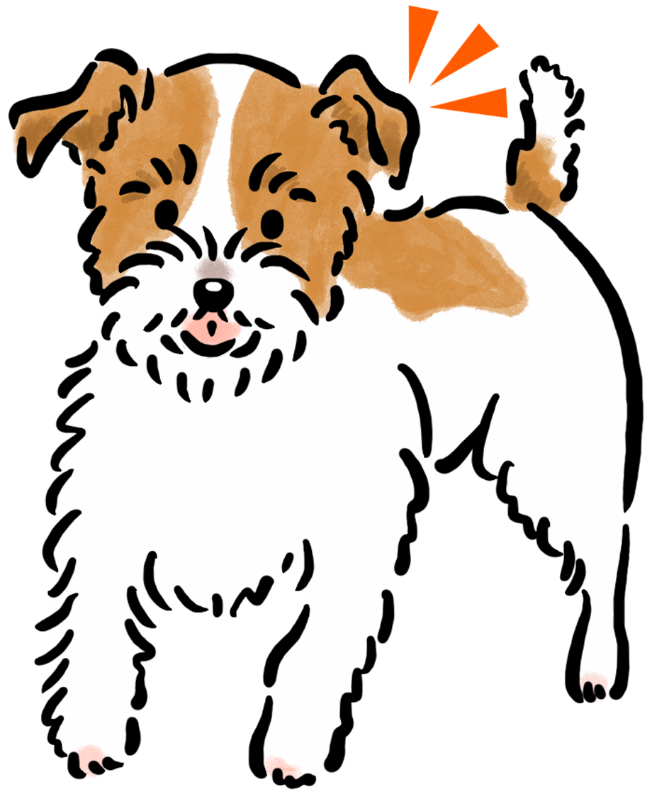 �W���b�N�E���b�Z���E�e���A