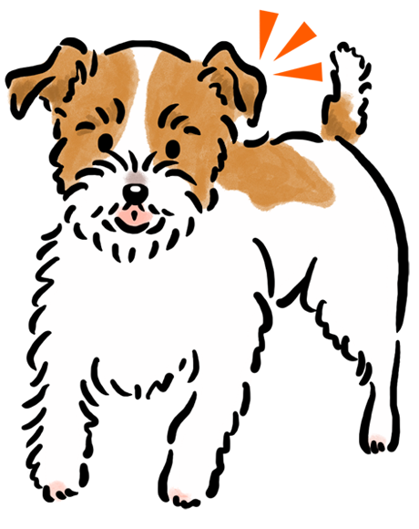 �W���b�N�E���b�Z���E�e���A