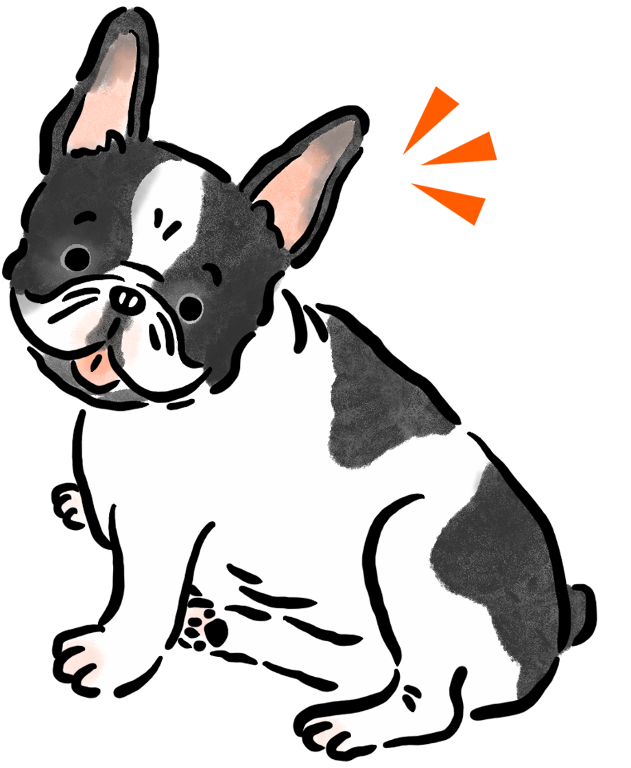 �t�����`�E�u���h�b�N