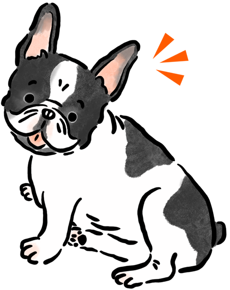 �t�����`�E�u���h�b�N