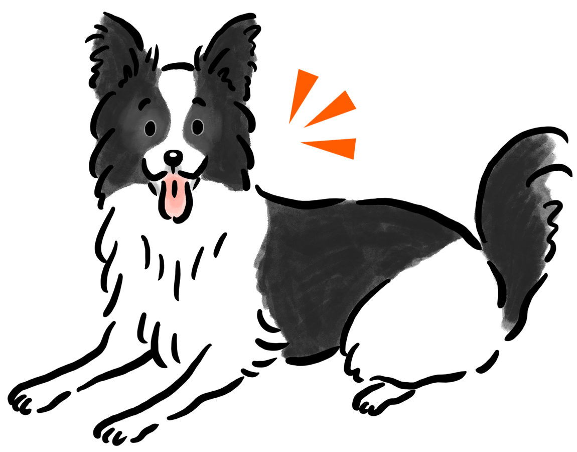 �{�[�_�[�E�R���[