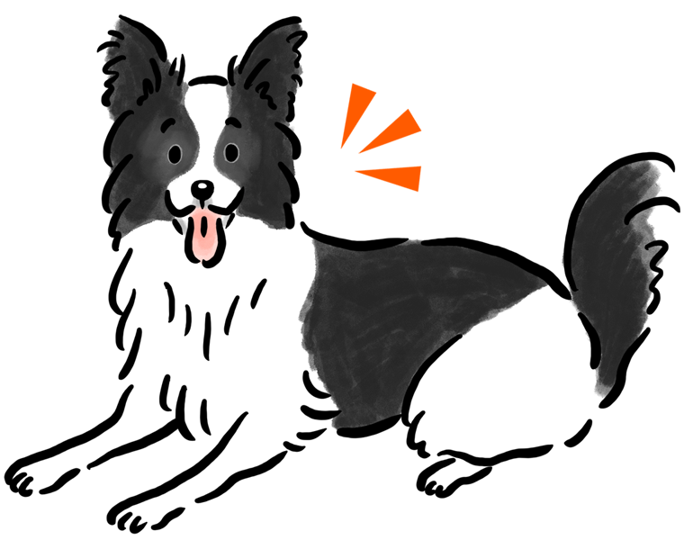 �{�[�_�[�E�R���[