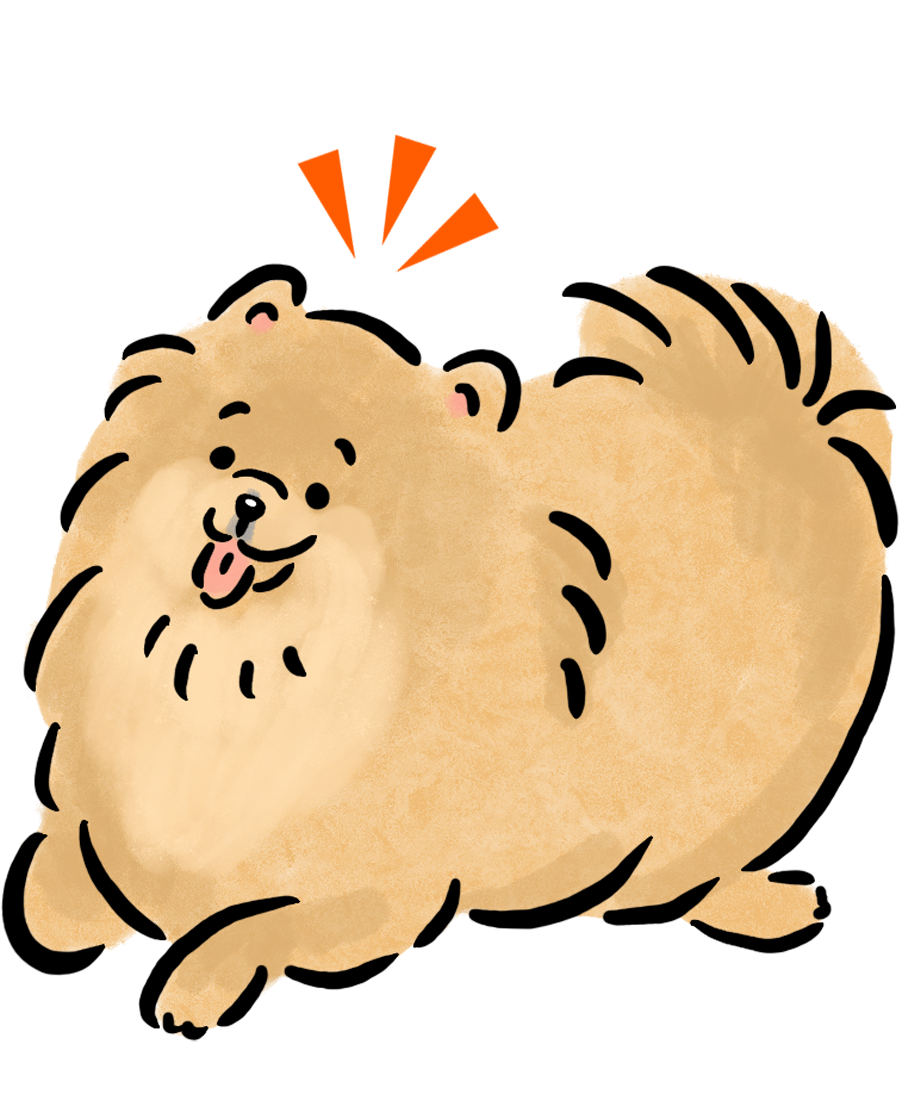 �|�����j�A��