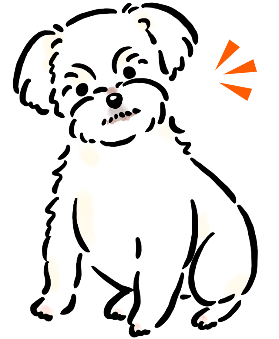 �}���`�[�Y