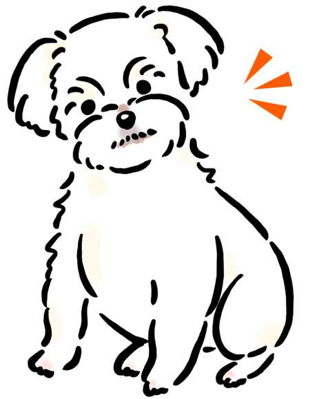 �}���`�[�Y